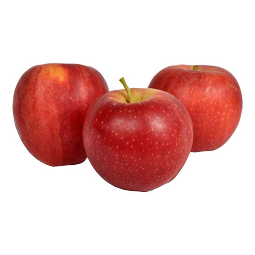 Örnek Ürün 2 - Alt Ürün - 2