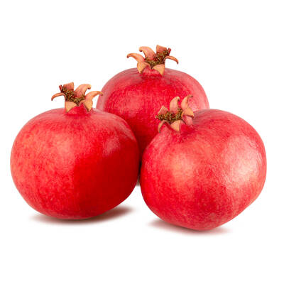 Örnek Ürün 10 - Paket 2