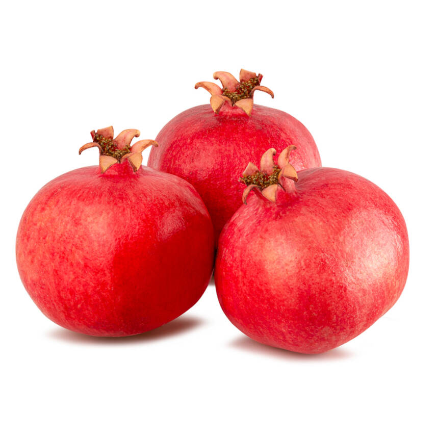 Örnek Ürün 10 - Paket 2 - 1