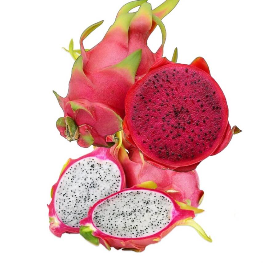 Örnek Ürün 11 - Karışık - 1