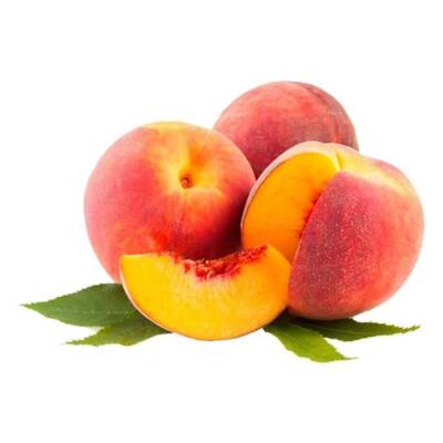 Örnek Ürün 12 - Stoksuz