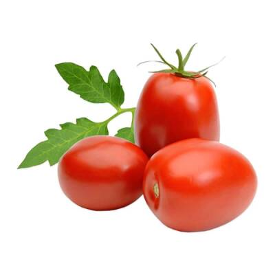 Örnek Ürün 6 - İlişkili Ürün (Salçalık)